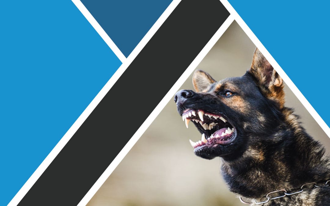 Image of a snarling dog for blog titled "Who's Responsible for a Dog Bite?" by Nelson Personal Injury, LLC