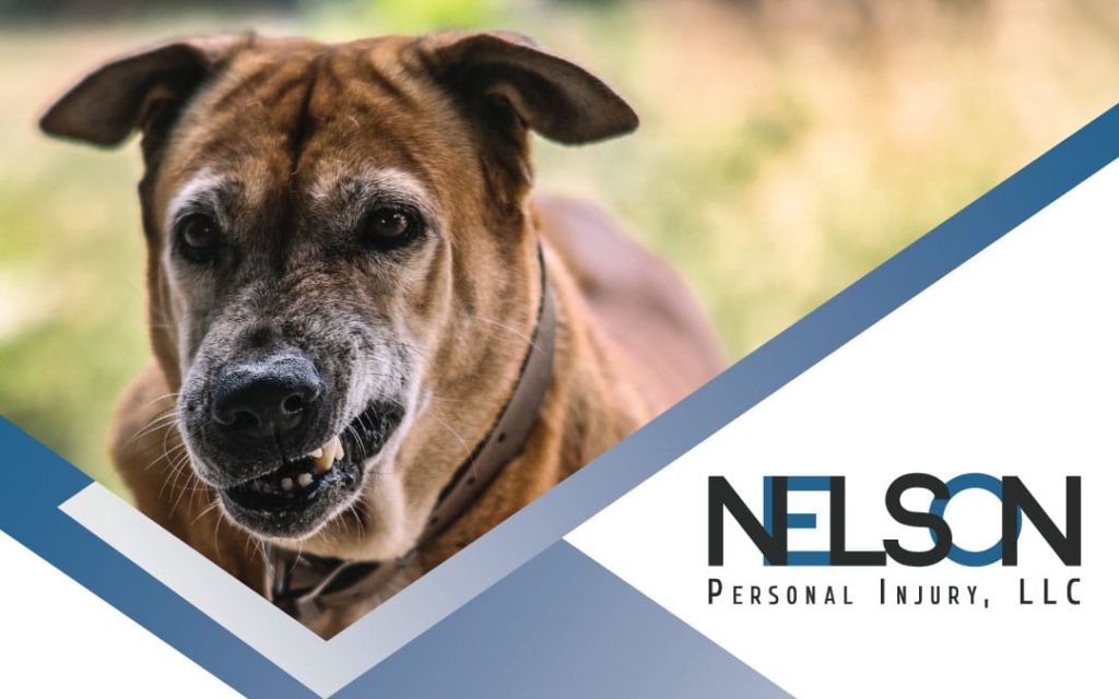 Image of an angry, snarling dog with Nelson Personal Injury LLC logo