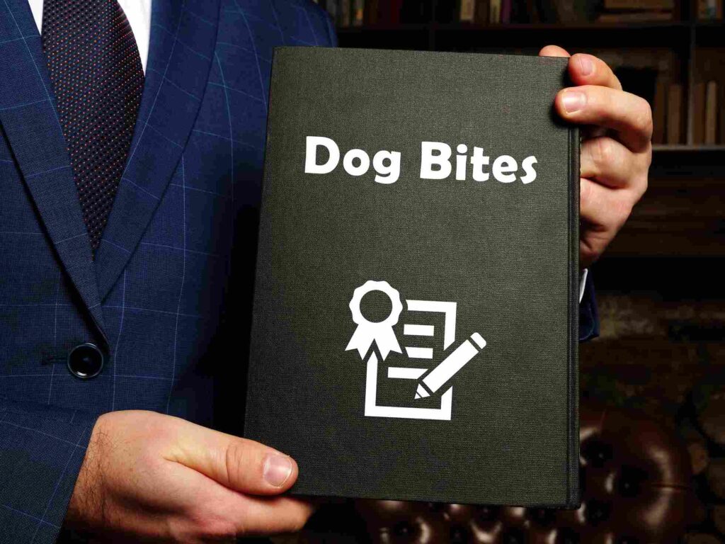 Why You Should Hire Nelson Personal Injury as Your Dog Bite Lawyer