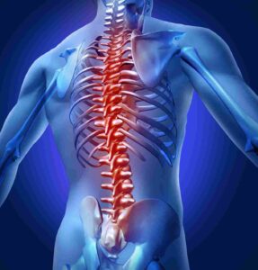 Minnesota Spinal Cord Lawyers